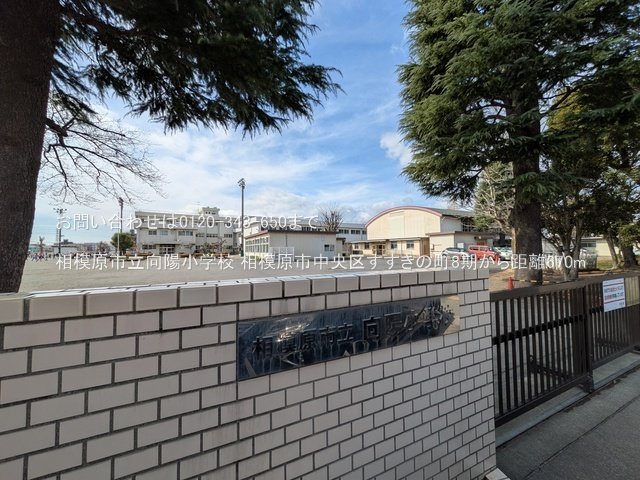 相模原市立向陽小学校 撮影日(2025-03-18) 670m