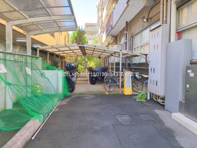 撮影日(2025-11-10 00:00:00)