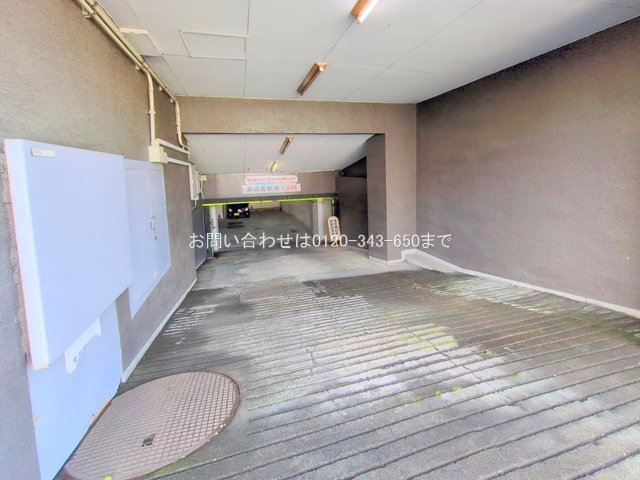 撮影日(2025-11-10 00:00:00)