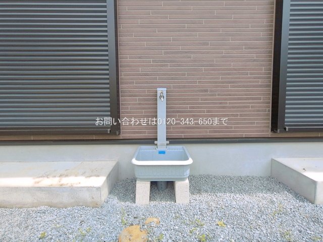 撮影日(2026-06-24 00:00:00)