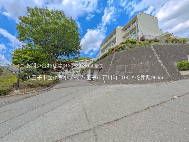 八王子市立小宮小学校 撮影日(2025-04-29) 960m