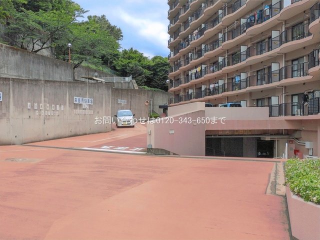 撮影日(2026-06-05 00:00:00)