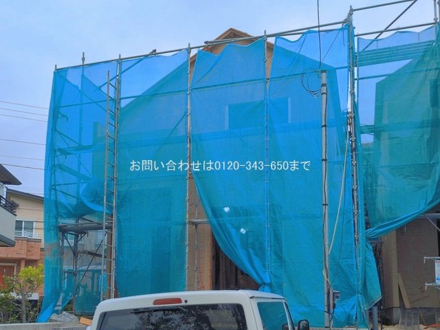 撮影日(2026-06-10 00:00:00)