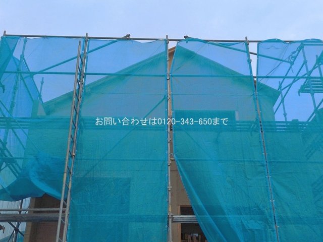 撮影日(2026-06-10 00:00:00)