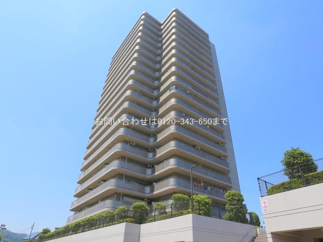 撮影日(2024-07-23 00:00:00)