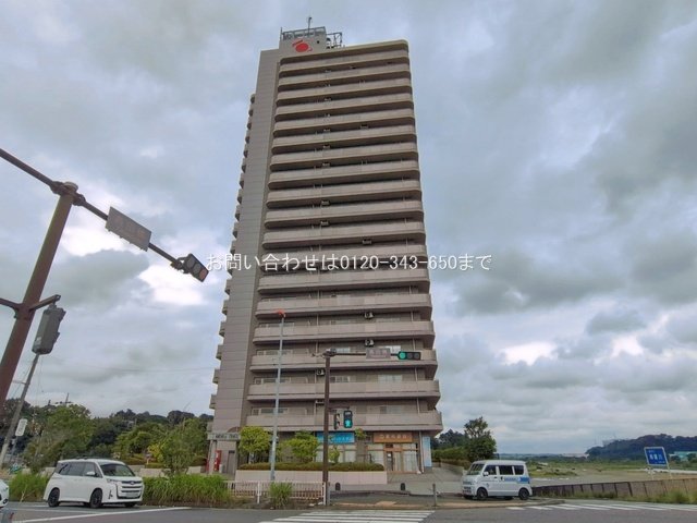 撮影日(2026-06-09 00:00:00)