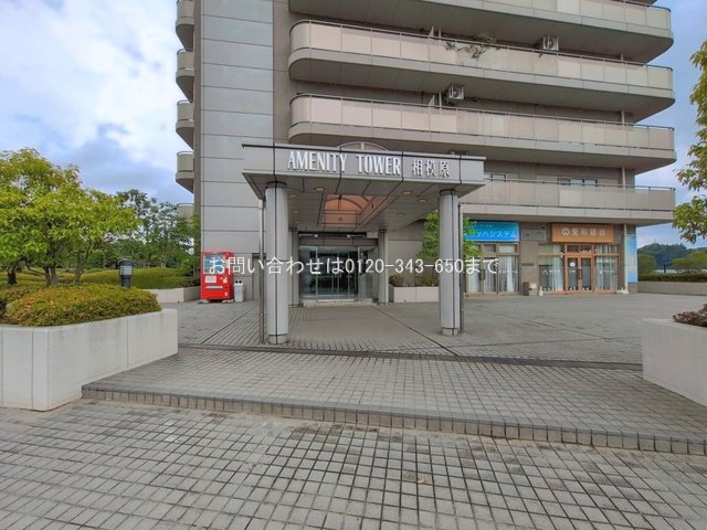 撮影日(2026-06-09 00:00:00)