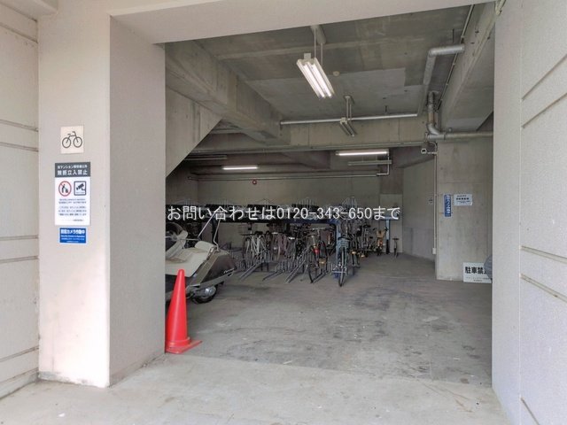 撮影日(2026-06-09 00:00:00)