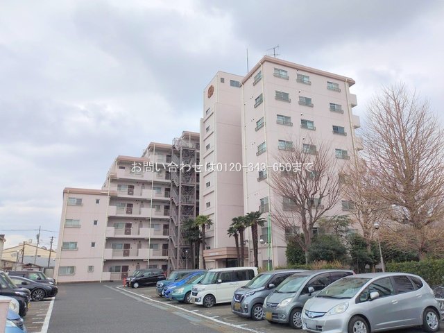 撮影日(2025-03-11 00:00:00)
