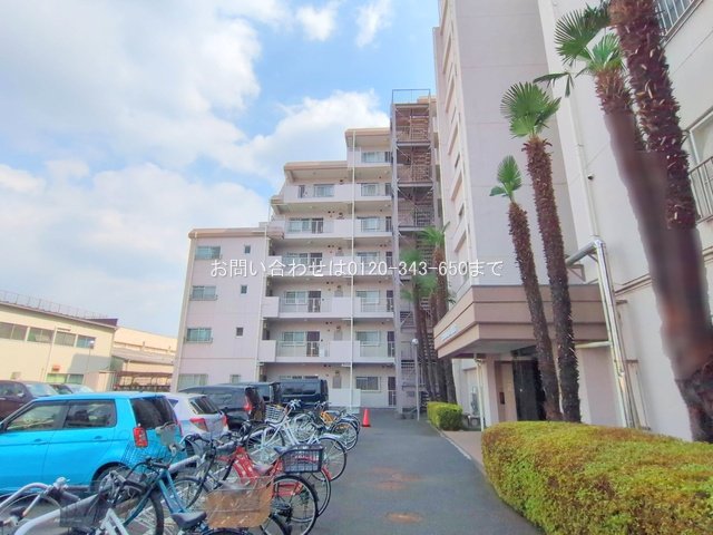 撮影日(2025-09-09 00:00:00)