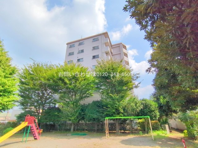 撮影日(2025-09-09 00:00:00)