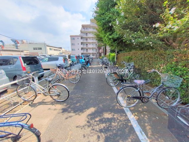 撮影日(2025-09-09 00:00:00)