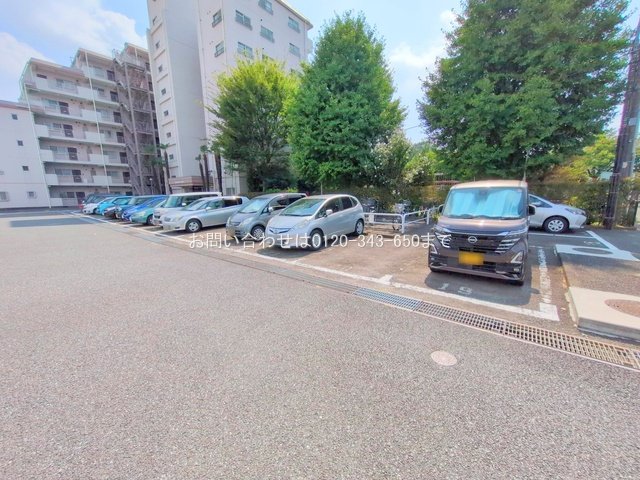撮影日(2025-09-09 00:00:00)