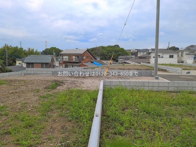撮影日(2026-06-22 00:00:00)
