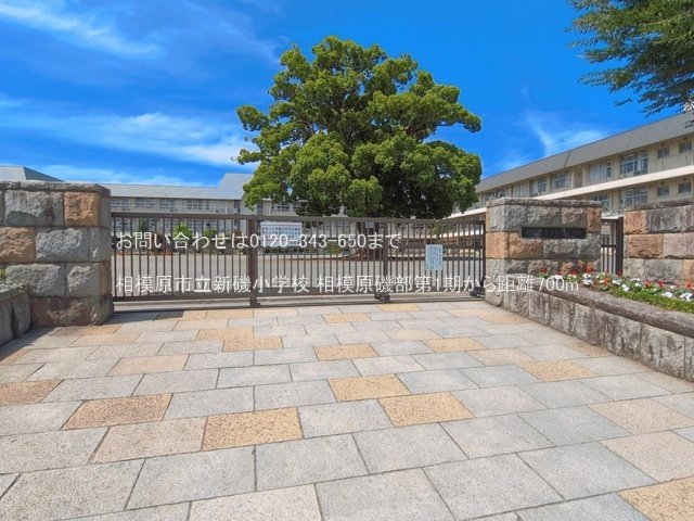 相模原市立新磯小学校 撮影日(2026-06-17) 700m