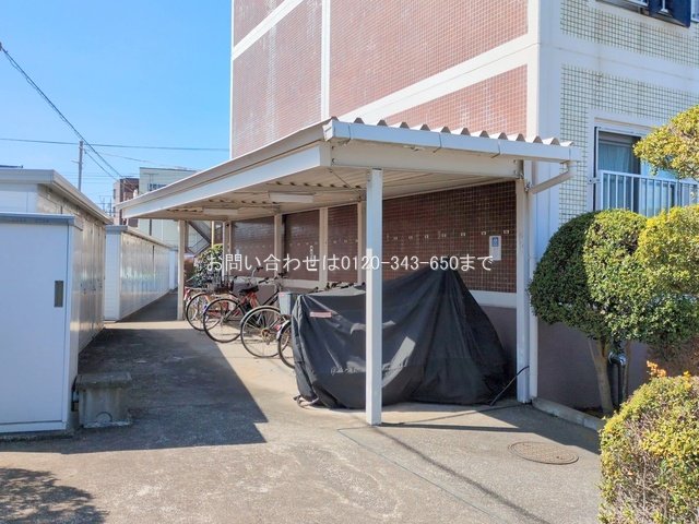 撮影日(2025-03-07 00:00:00)