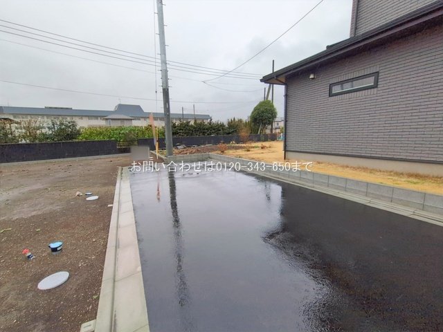 撮影日(2026-02-25 00:00:00)