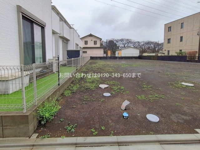 撮影日(2026-02-25 00:00:00)