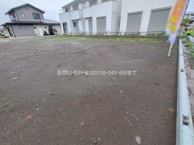 撮影日(2026-02-25 00:00:00)