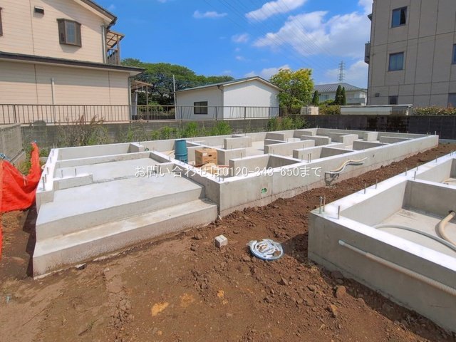 撮影日(2026-05-15 00:00:00)
