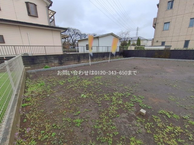 撮影日(2026-02-25 00:00:00)