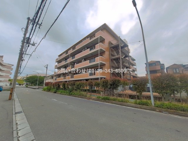 撮影日(2026-06-09 00:00:00)
