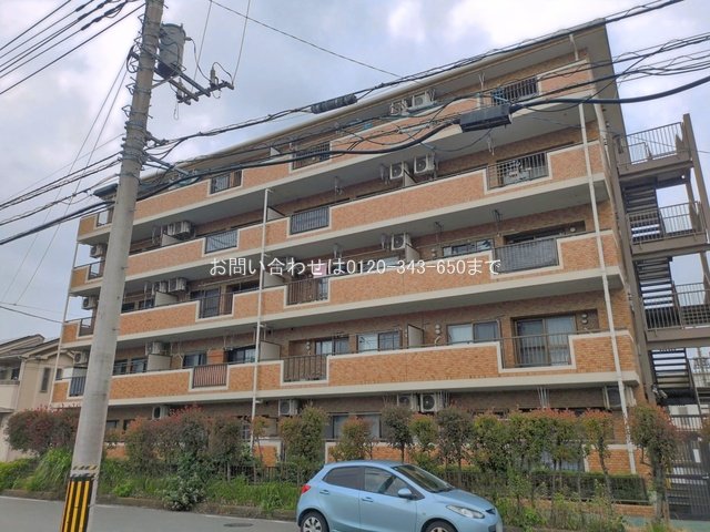 撮影日(2026-06-09 00:00:00)