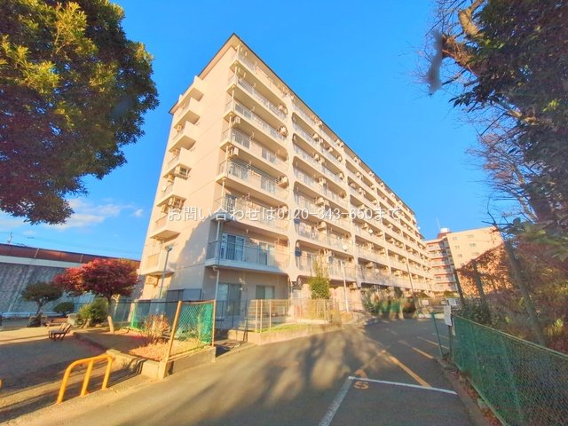 撮影日(2025-01-28 00:00:00)