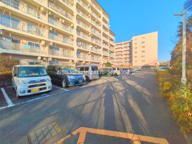 撮影日(2025-01-28 00:00:00)