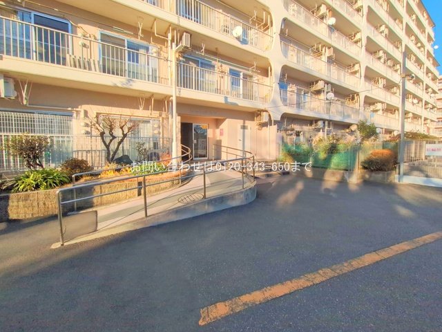 撮影日(2025-01-28 00:00:00)