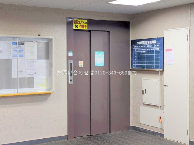 撮影日(2025-01-28 00:00:00)