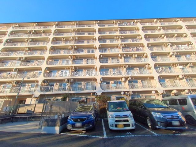 撮影日(2025-01-28 00:00:00)