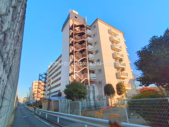 撮影日(2025-01-28 00:00:00)