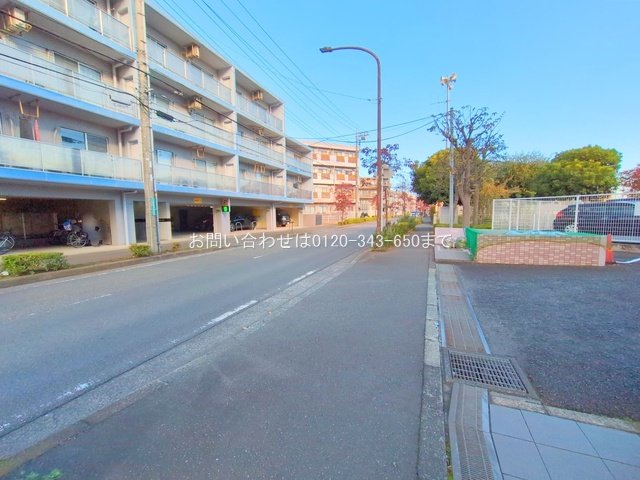 撮影日(2025-11-12 00:00:00)