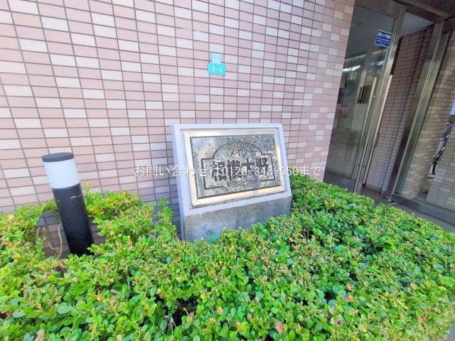 撮影日(2025-11-12 00:00:00)