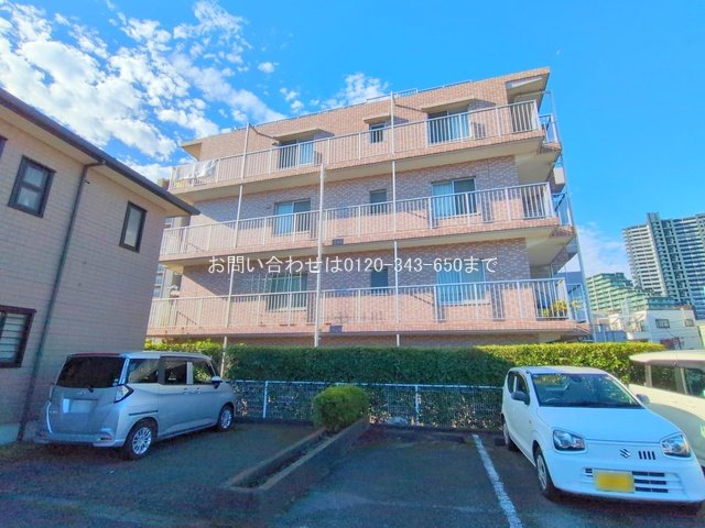 撮影日(2025-11-12 00:00:00)