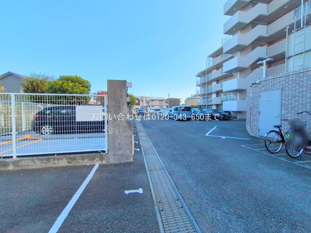 撮影日(2025-11-12 00:00:00)