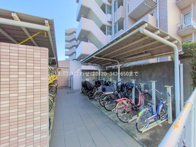 撮影日(2025-11-12 00:00:00)