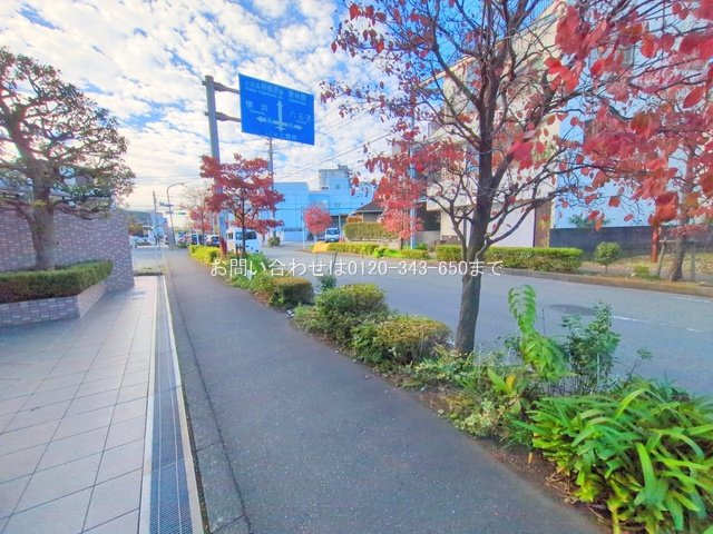 撮影日(2025-11-12 00:00:00)