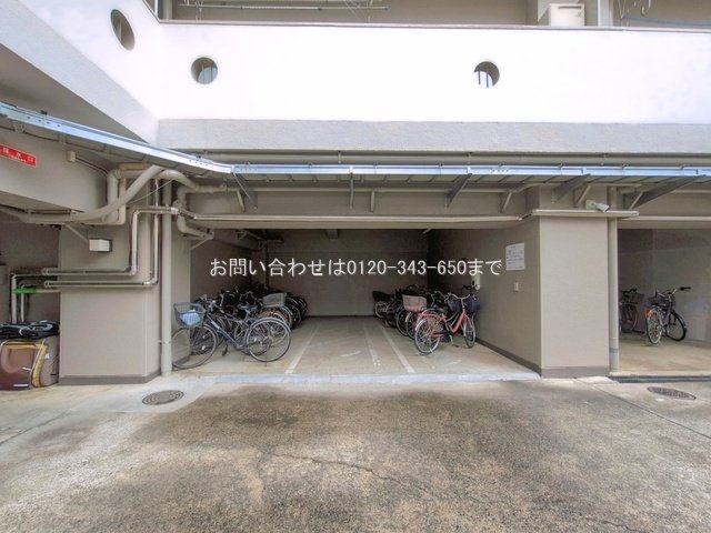 撮影日(2026-06-09 00:00:00)
