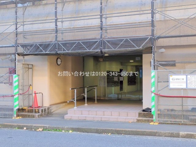 撮影日(2024-12-06 00:00:00)