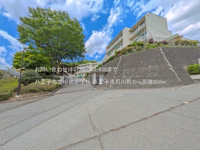 八王子市立小宮小学校 撮影日(2025-04-29) 850m
