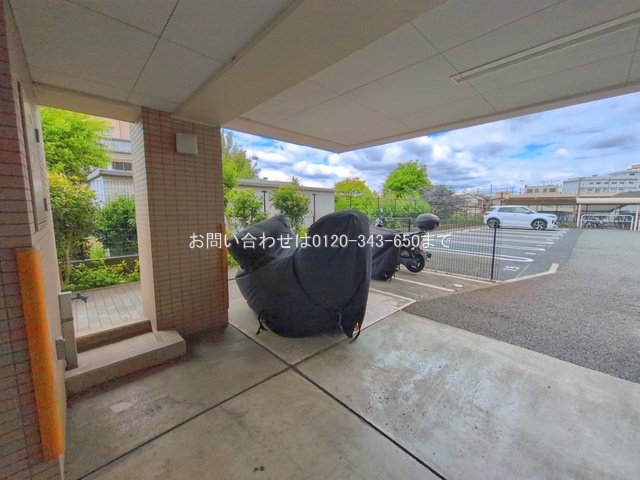撮影日(2026-06-04 00:00:00)