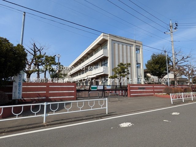 相模原市立新宿小学校 撮影日(2025-03-14) 600m