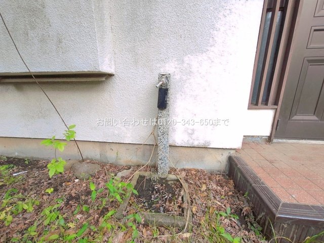 撮影日(2026-07-07 00:00:00)