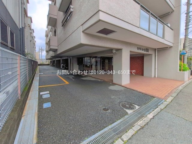 撮影日(2026-07-02 00:00:00)