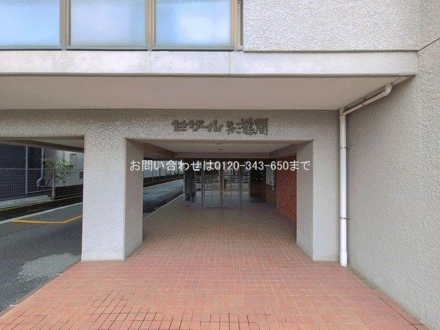 撮影日(2026-07-02 00:00:00)