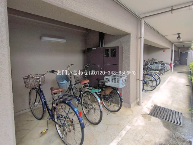 撮影日(2026-07-02 00:00:00)