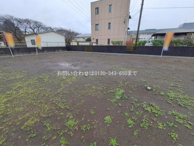 撮影日(2026-02-25 00:00:00)
