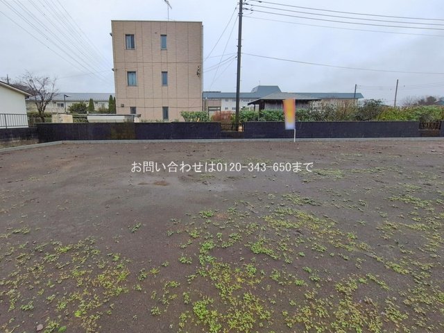 撮影日(2026-02-25 00:00:00)